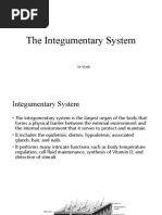 The Integumentary System