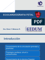 Ecocardiografia Fetal