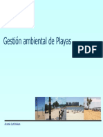 Gestión Ambiental de Playas