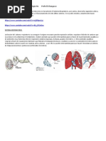 2da Parte Proyecto Integración Biología 4to Profe Eli Changazzo