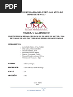 Enfermedad Renal Cronica FINAL