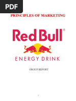 Report Analysis of Redbull