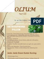 Folium 3