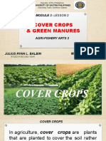 Cover Crops and Green Manures