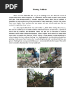 Narrative Report Tree Planting