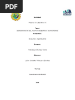 Determinacion Del Punto Isolectrico de Las Proteinas