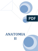 Anatomia II