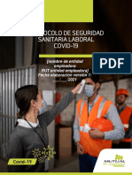 Protocolo Tipo Seguirdad Sanitaria Laboral Covid 19 Oficial