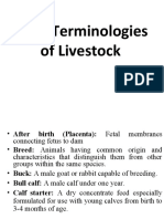 Basic Terminologies of Livestock