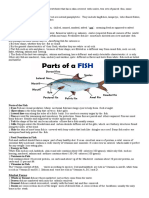 The Classification of Fish: Market Forms