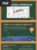 Exp. Algebraicas