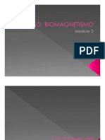 Curso Biomagnetismo - Modulo-2