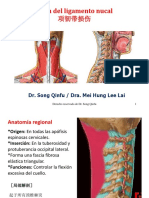 5.. Lesión Del Ligamento Nucal 项韧带损伤 Copias Para Alumnos