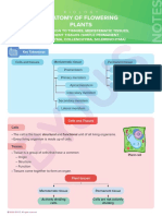 Meristematic and Simple Permanent Tissues