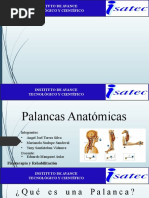 Palancas Anatómicas