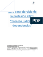 Guia de Ejercicio de La Profesion 2020