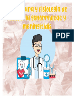 Estructura y Fisiología de N. Gonorrhoeae y Meningitidis