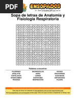 Sopa de Letras Anatomia y Fisiologia Respiratoria