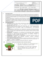 GUIA5 FINAL La Fotosintesis Respiración Decimo 2021