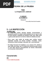 La Inspeccion Judicial-Peru