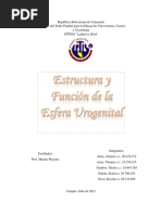 Estructura y Funcion de La Esfera Urogenital