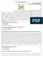 Diagnostico Lecto Escritura