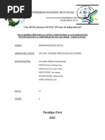 Informe Ejecución Del Proyecto - RS - Final