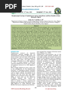 Nasopharyngeal Carriage of Staphylococcus Aureus Among Horses and Horse Handlers in Kano Metropolis, Nigeria