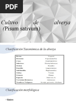 Cultivo de Alverja