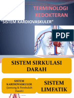 Sistem Kardiovaskuler