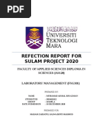 Reflection Report Sulam Project Muhamad Akmal Bin Azman