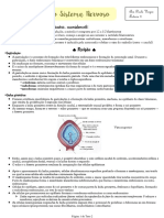 Tutoria 2 - Embriologia Do SN