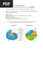 Teorías Que Aportan A La Biología Moderna