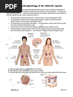 The Endocrine System