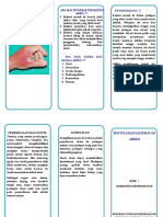 Leaflet Abses