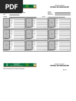 4 Formatos Futbol Asociacion