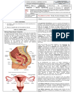 Guia 11. Reproducción en Humanos - Aparato Reproductor Femenino - 4