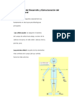 Leyes y Etapas Del Desarrollo y Estructuración Del Esquema Corporal