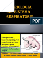 Embriologia Del Sistema Respiratorio