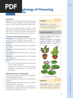 Morphology of Flowering Plants