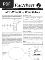 ATP - What It Is, What It Does: Bio Factsheet