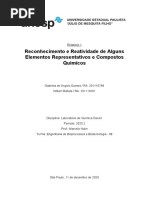 Relatório 1 (Química) - Reatividade Dos Metais