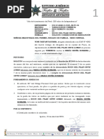 Solicito Correccion de Auto Admisorio