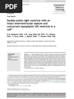 Double-Outlet Right Ventricle With An An Intact Interventricular Septum and Concurrent Hypoplastic Left Ventricle in A Calf