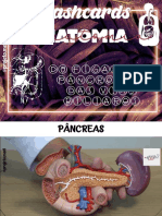 PRÁTICA Anatomia Do Fígado, Das Vias Biliares e Do Pâncreas