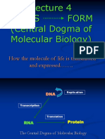 The Molecule of Life Is Transmitted and Expressed