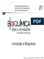 01 Introdução A Bioquimica PDF