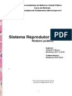 Roteiro Prático Sistema Reprodutor Feminino