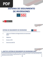 Presentacion Reporte SSI