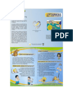 Folleto de Leptospirosis